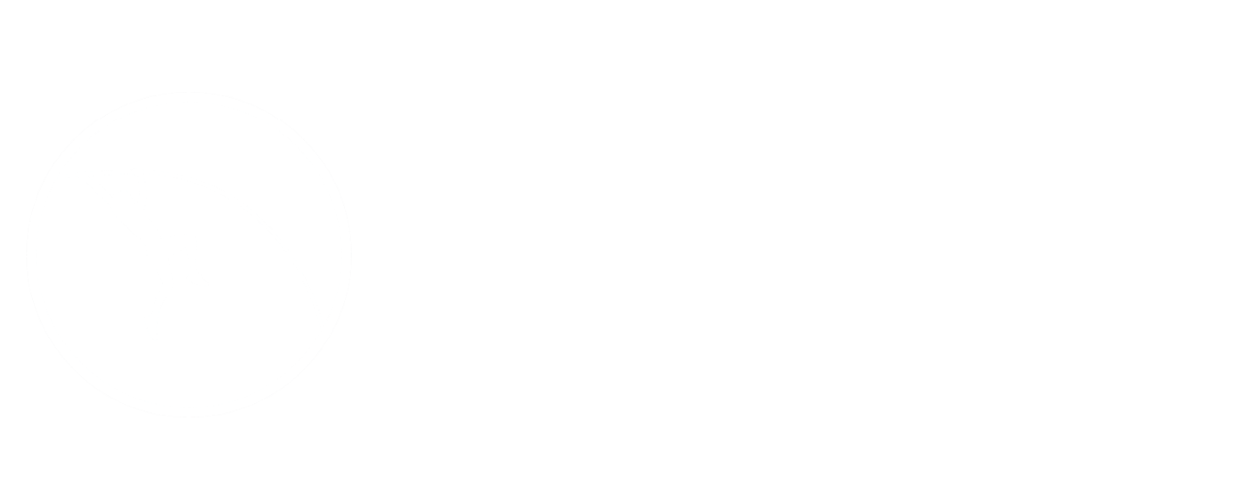 RISE Pole Vault